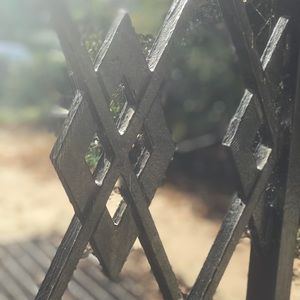 Meet your Posher, Genna